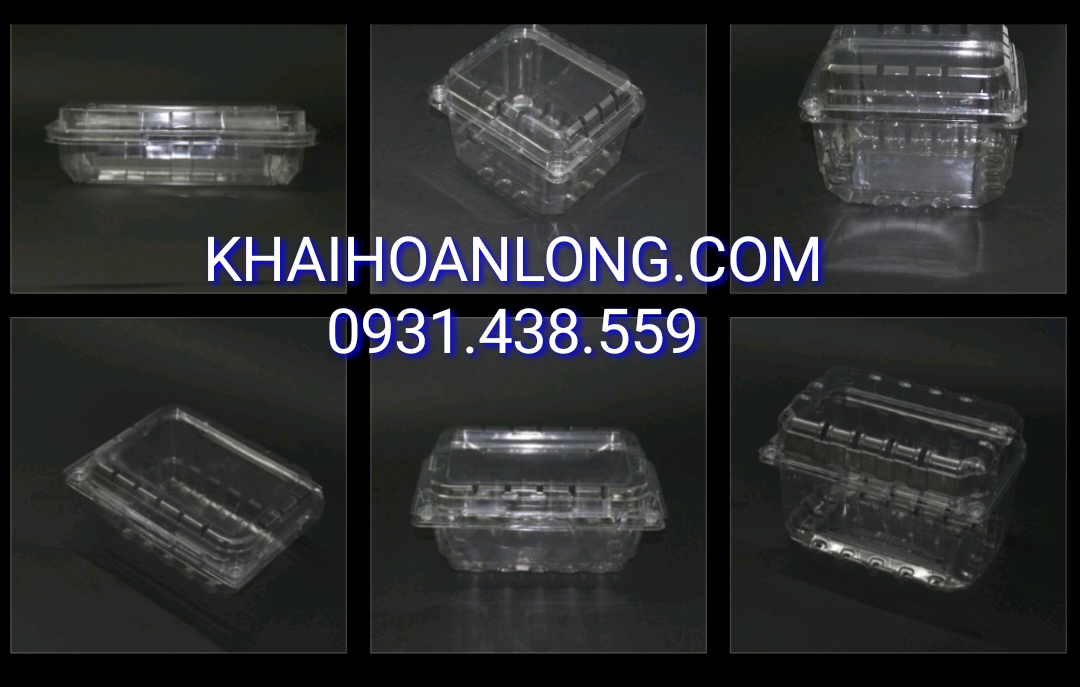 HỘP ĐỰNG TRÁI CÂY